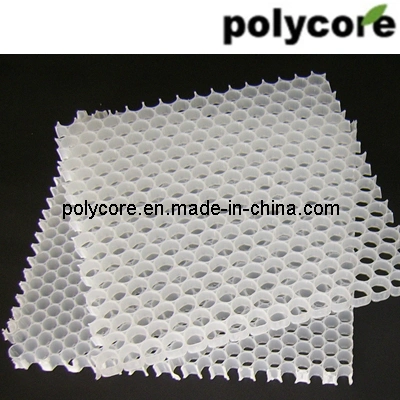PP Honeycomb Core (PP16) for Air Purify